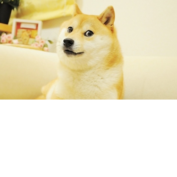 [UPDATE] Memers C. Site