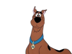 ScoobyDoosFans