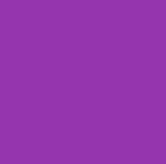 Purple Cone Brothers