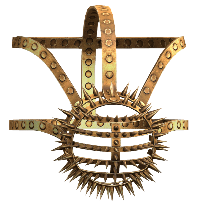 Gold Spikey Muzzle