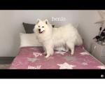 BoomerGroop