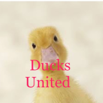 The Duck United