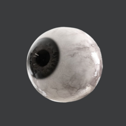buy items in here!