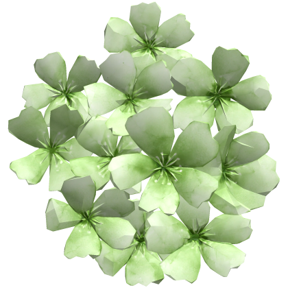 顔の花 green sakura flower face cluster
