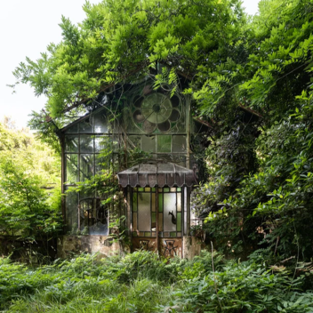 Greenhouse + Cat = WIP