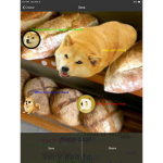 Doge group!!!!!!!!