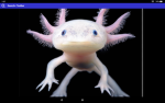Axolotl_Stuff fan group