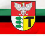 Fikcyjna Dąbrowa Górnicza