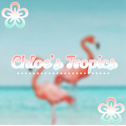 Chloe's Tropics!