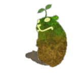 Plant Chomik