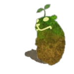 Plant Chomik
