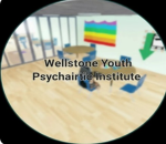 Wellstone Youth Psychiatric Institute