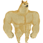 Dag Nation