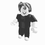 The Main Roblox Fans Group