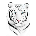 Cincinatti  White tigers
