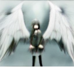 Tailorxd +