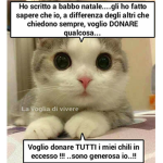 I CACICAVALLO
