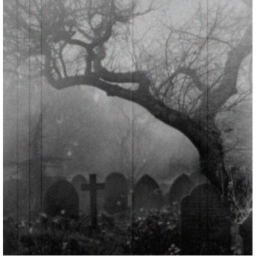 ✞