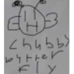 Chubby butterfly