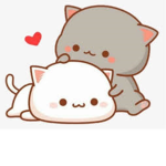 THE AMAZING CAT GROUP.