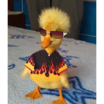 Best lil ducky gang ever