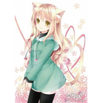 قروب عيون جميله