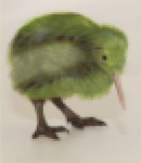 CACAJOTA
