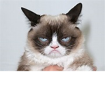 Grumpy grumpers