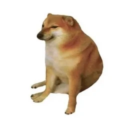 What da dog doin? icon