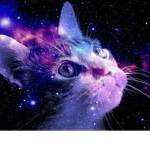 kitty party time