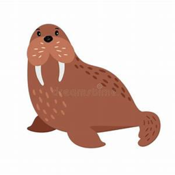 Walrus Home