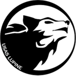 {DM} -Dire Wolf Military-