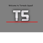 Tornado squad (TS)