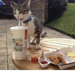 just lending a hand
