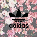 prolers