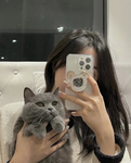 {~_Cheeky cats_~}
