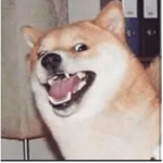 sɪᴍᴘs ғᴏʀ ʟɪғᴇ