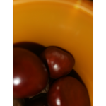 Martaalea