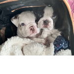 Maya And Coco<3