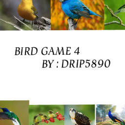 BIRD GAME 4!