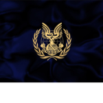 [;] UNSC | The United Nations Space Command|