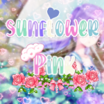 sunflower pink