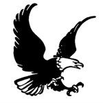 Falcon Assault Team
