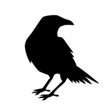 Dark Raven Studio