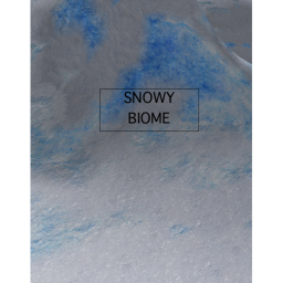 Snowy Biome