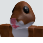 Hamster Company