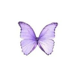 ˚ʚ🦋☎ɞ˚