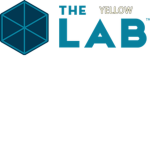 yellow labs