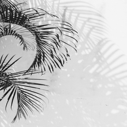 white aesthetic Roblox decal