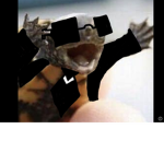 Turtleboss17 group